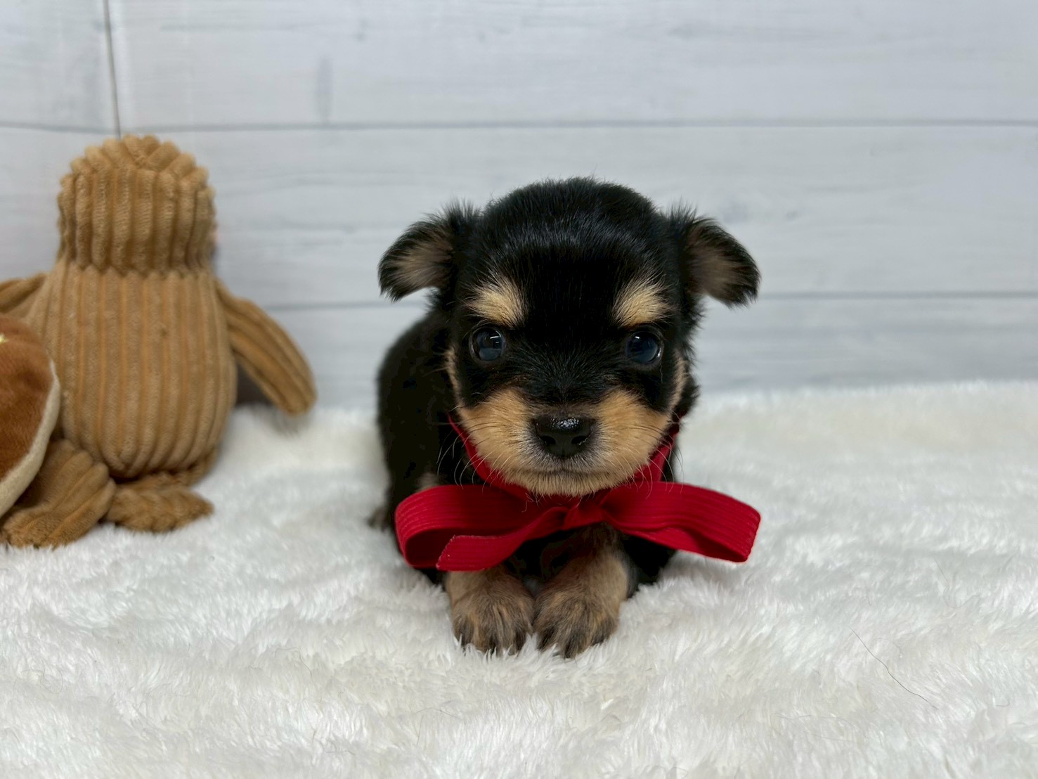 赤ちゃん写真2-1