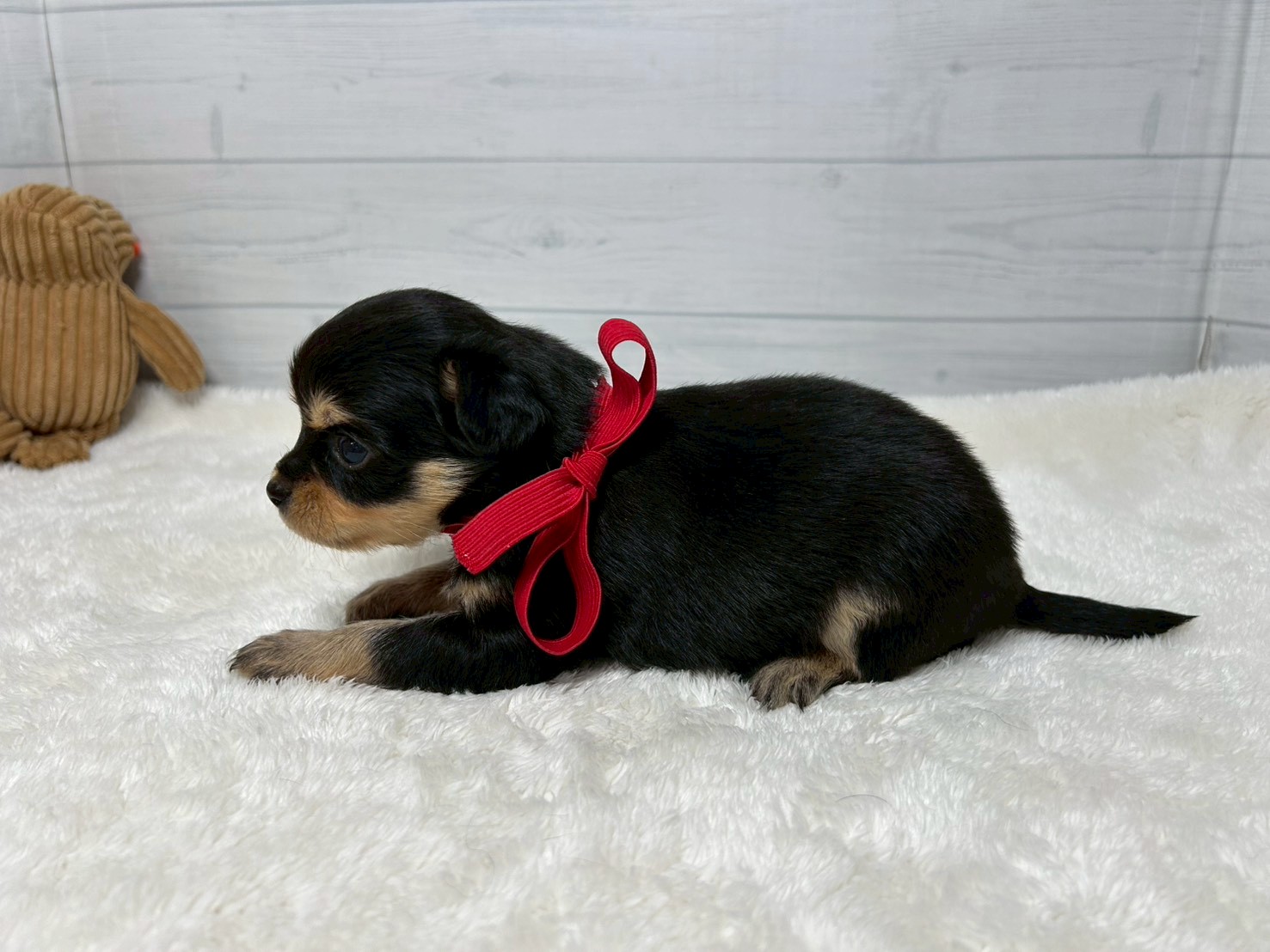 赤ちゃん写真2-2