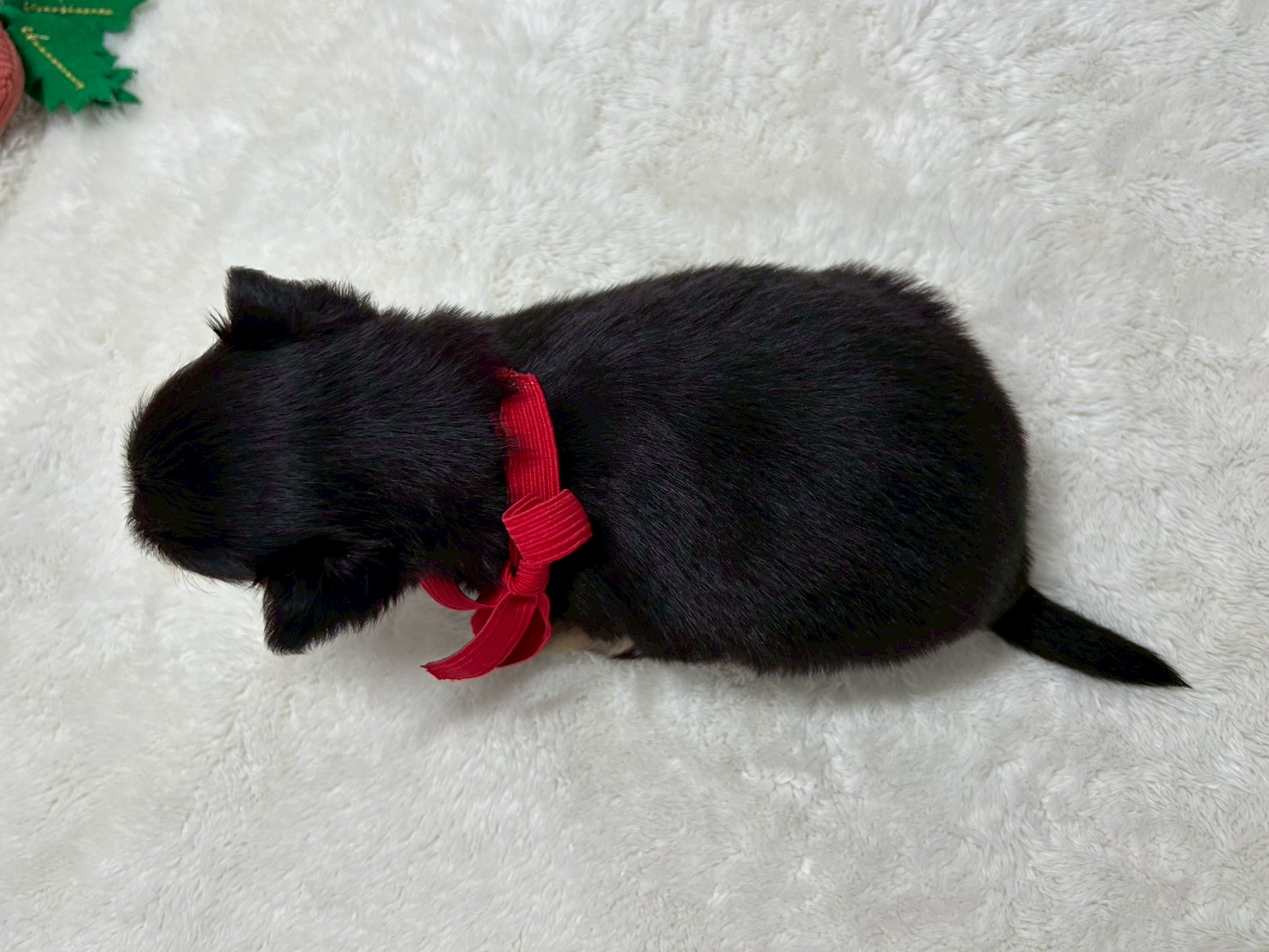 赤ちゃん写真2-3