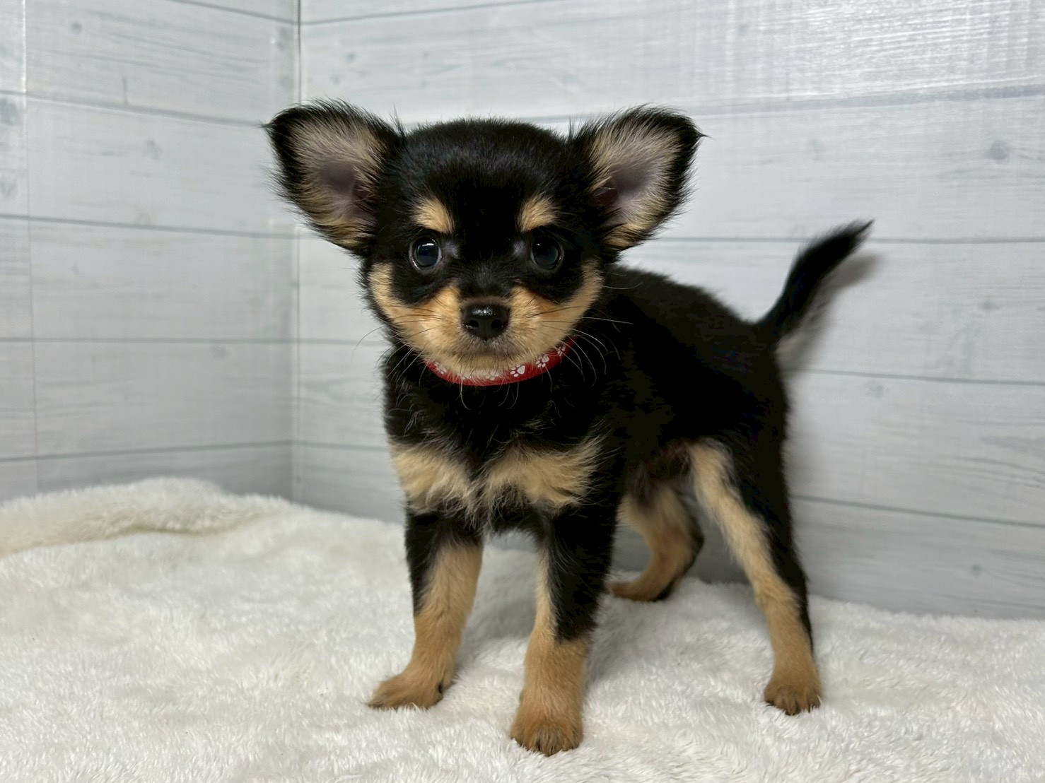 赤ちゃん写真3-1