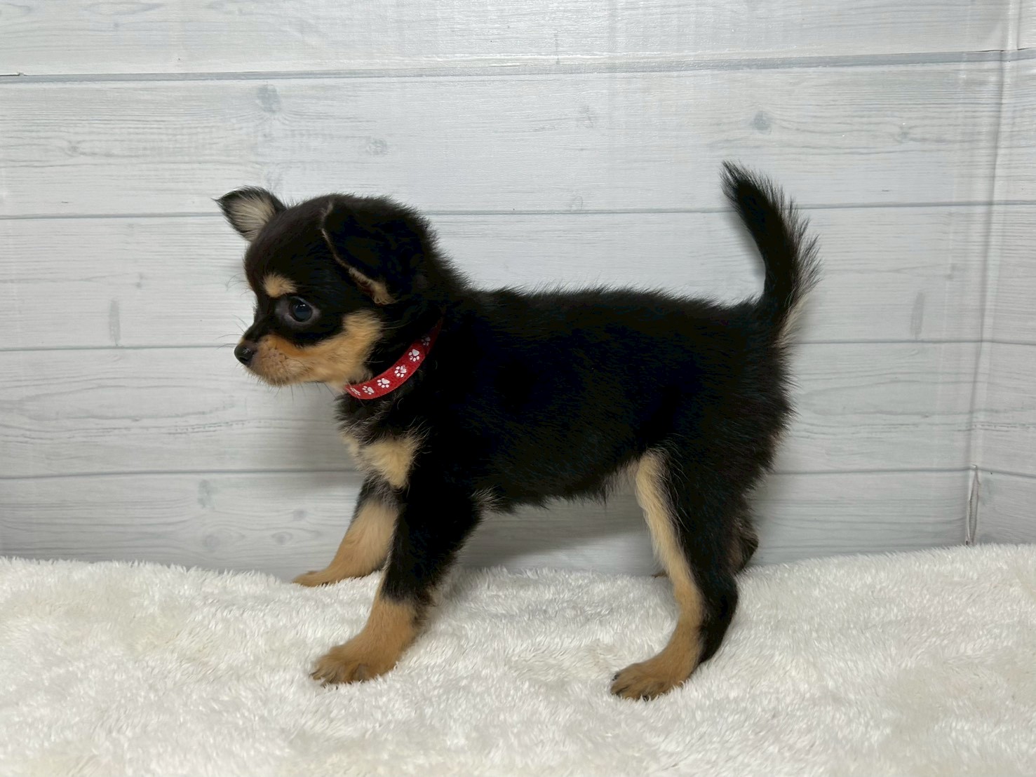 赤ちゃん写真3-2