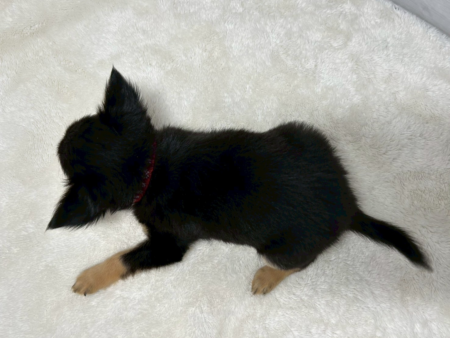 赤ちゃん写真3-3