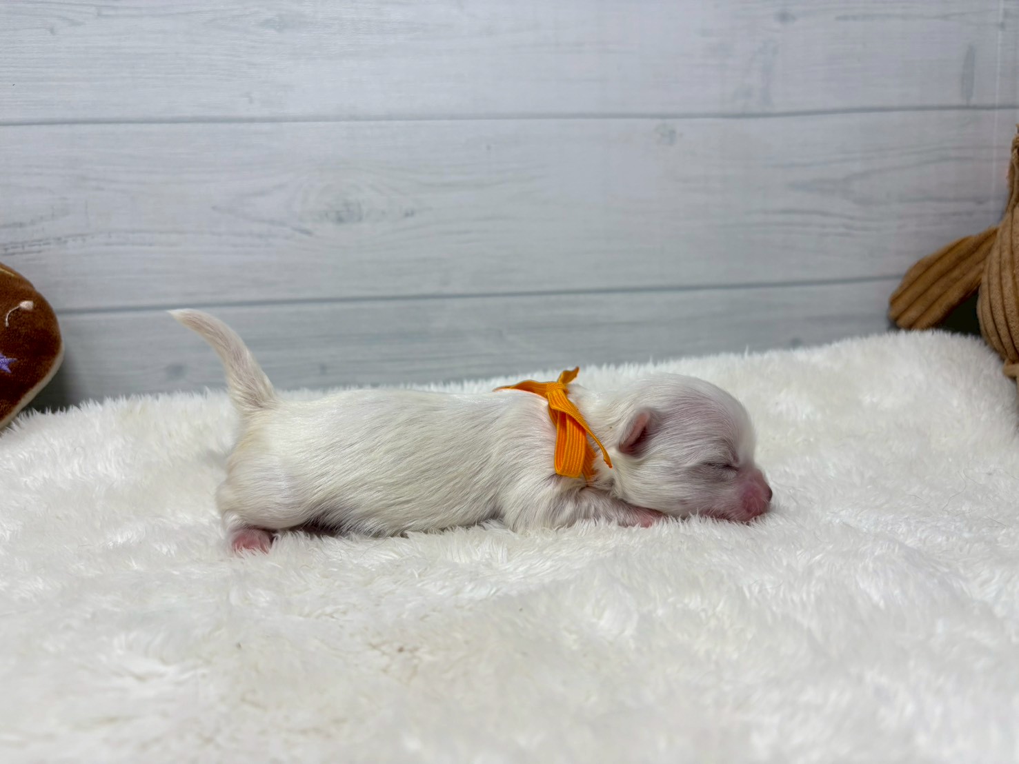 赤ちゃん写真1-2