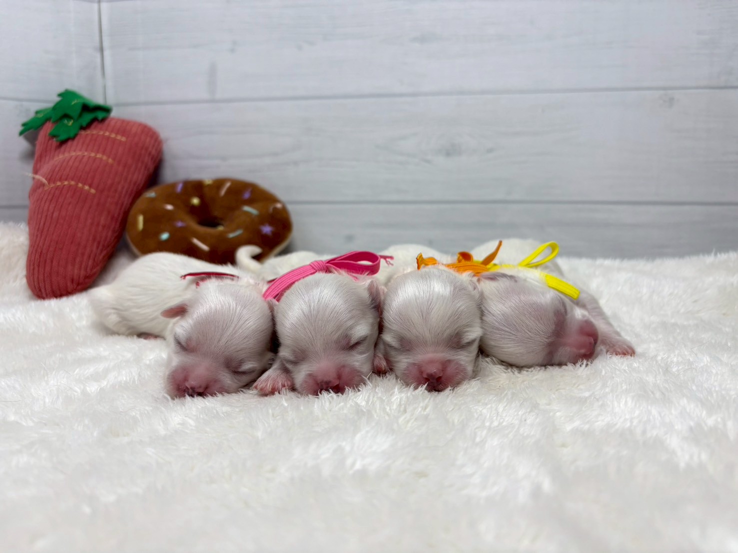 赤ちゃん写真1-3