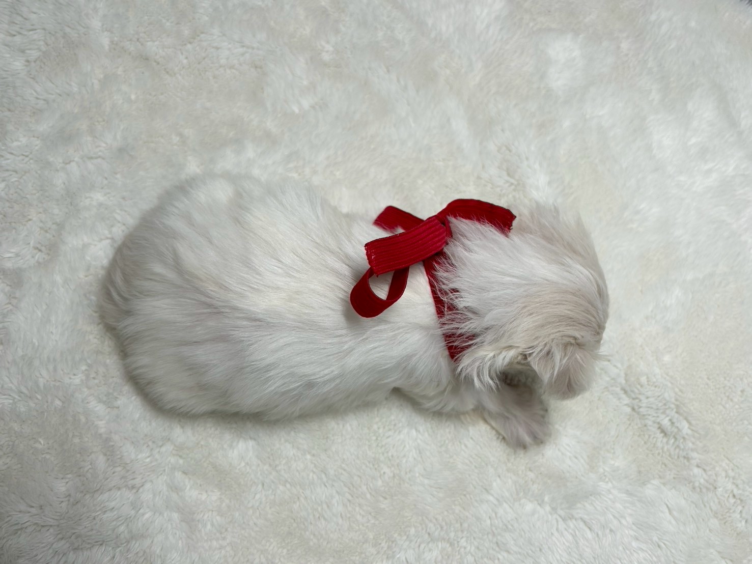 赤ちゃん写真2-3
