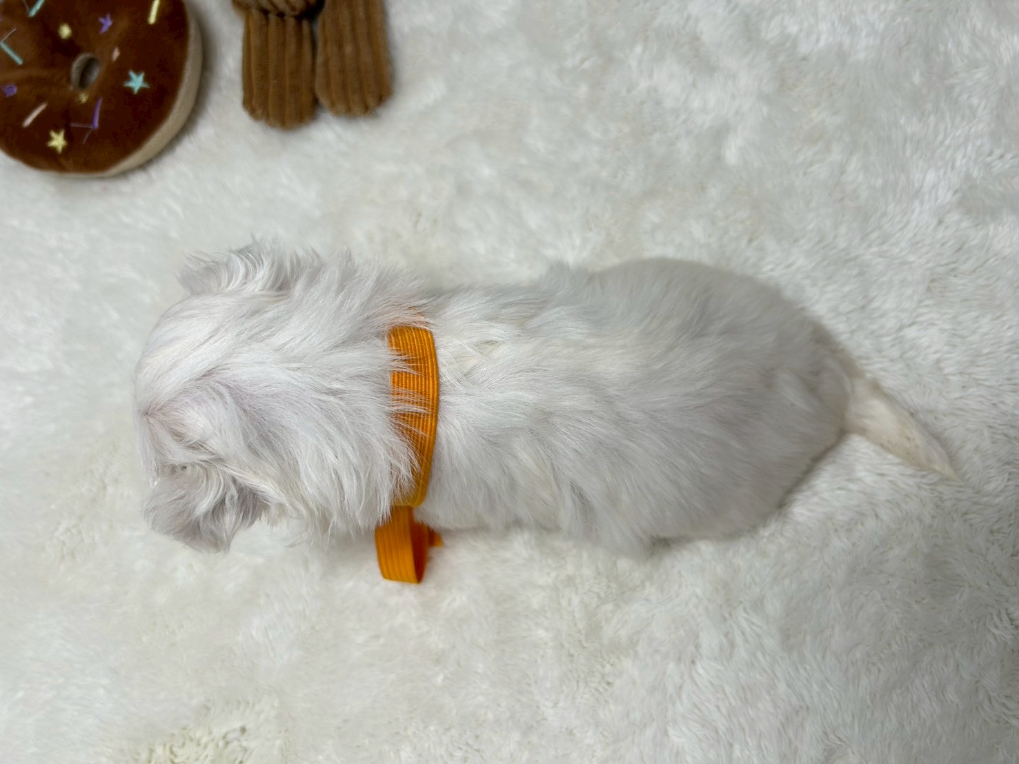 赤ちゃん写真2-3