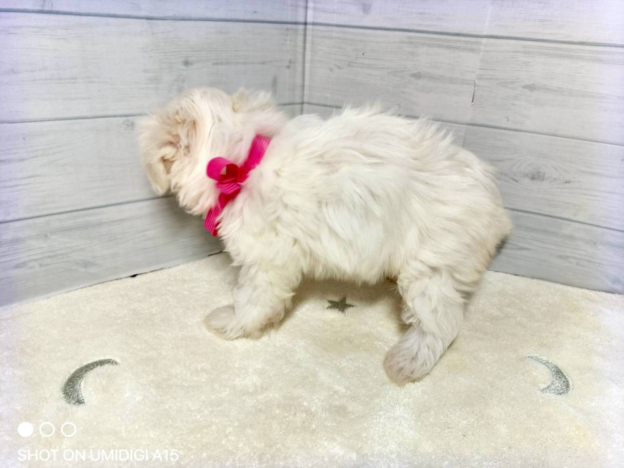 赤ちゃん写真3-2