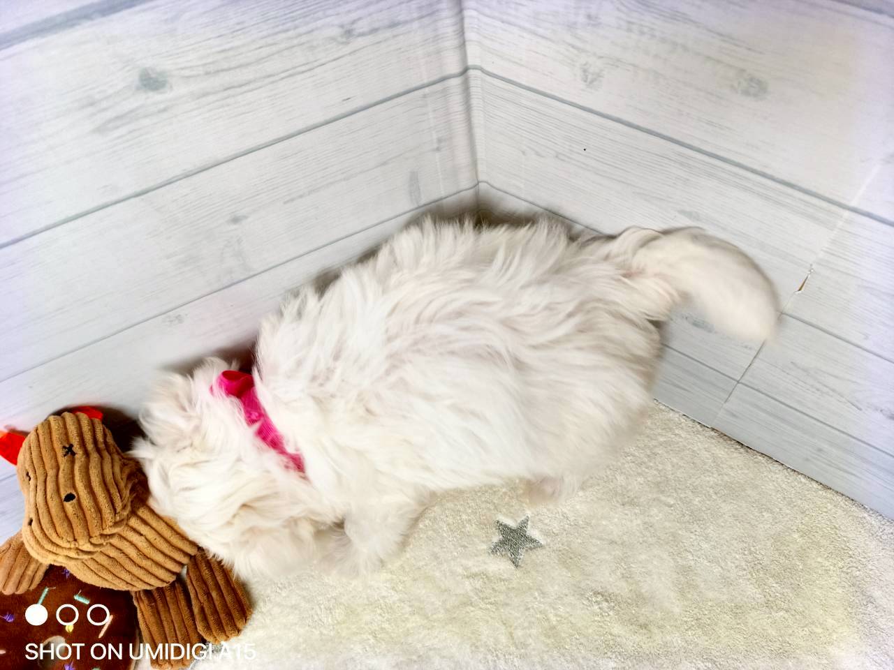 赤ちゃん写真3-3