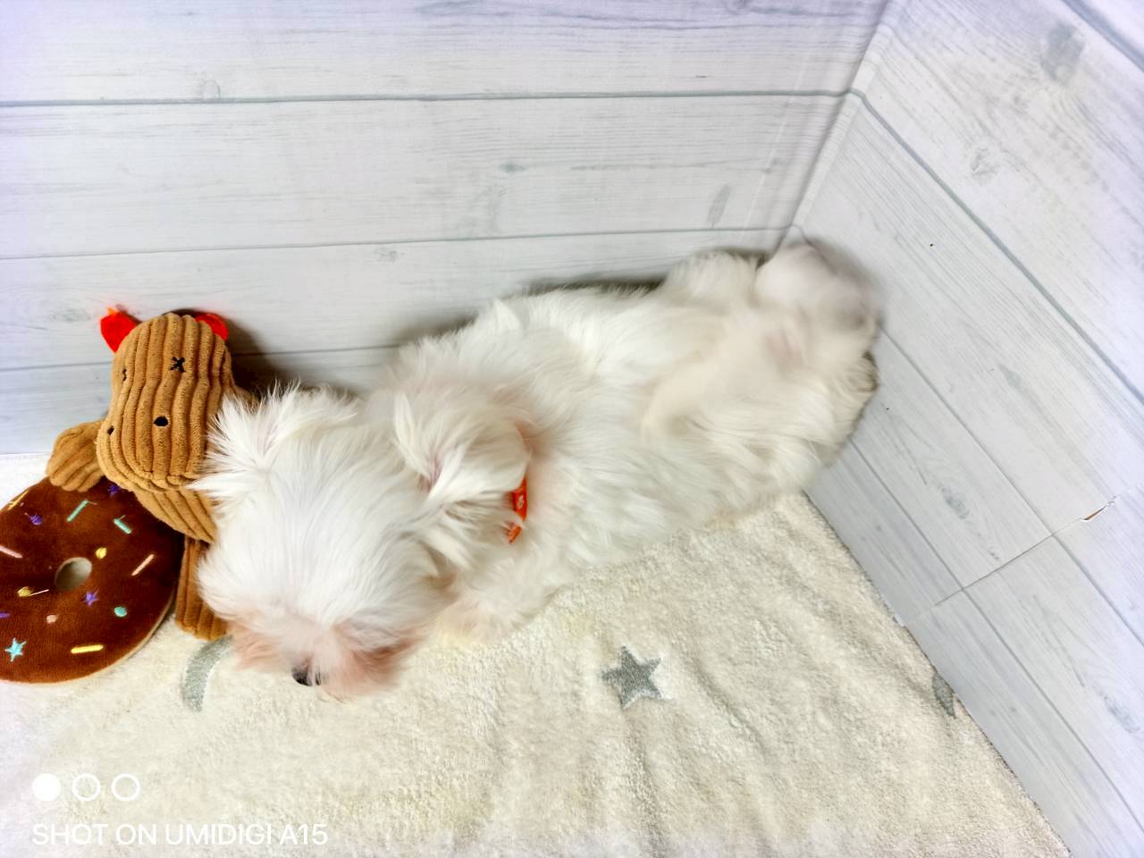 赤ちゃん写真3-3