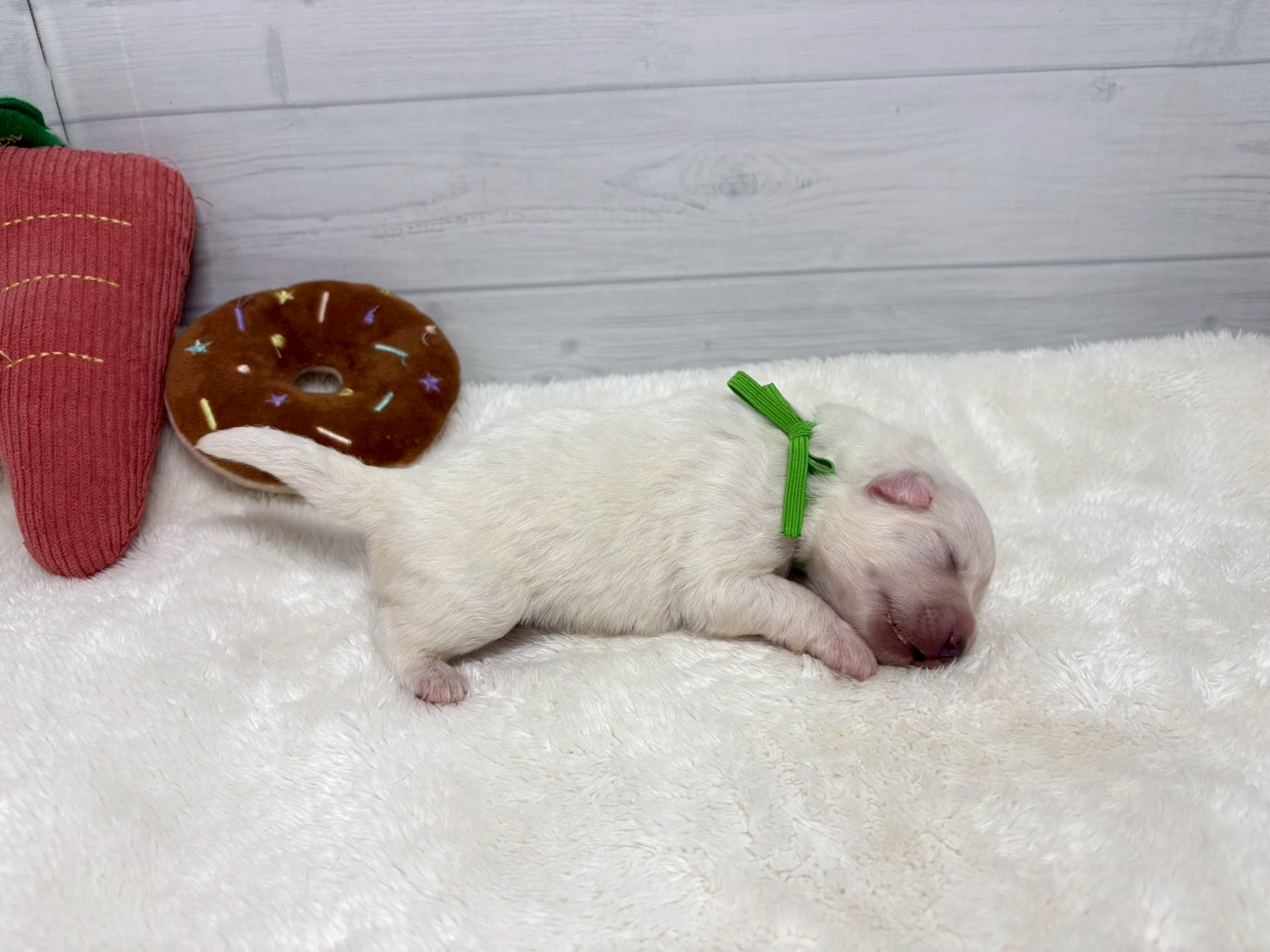 赤ちゃん写真1-2
