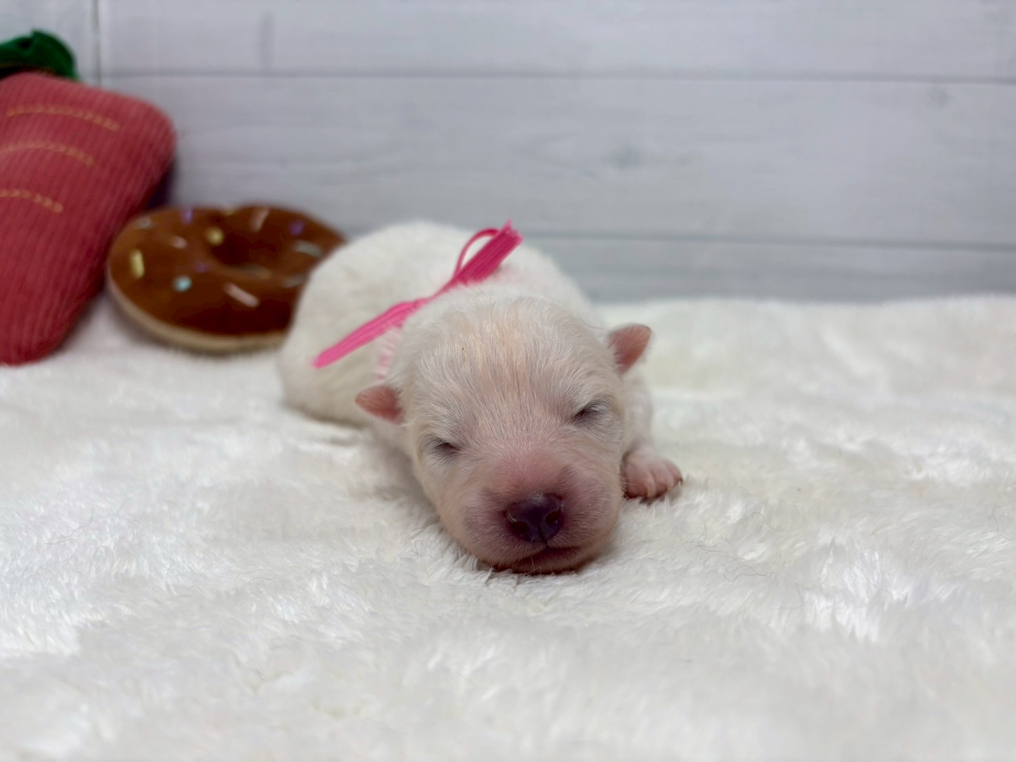 赤ちゃん写真1-1