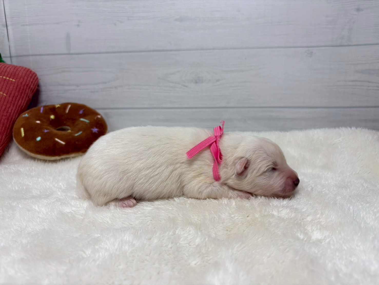 赤ちゃん写真1-2