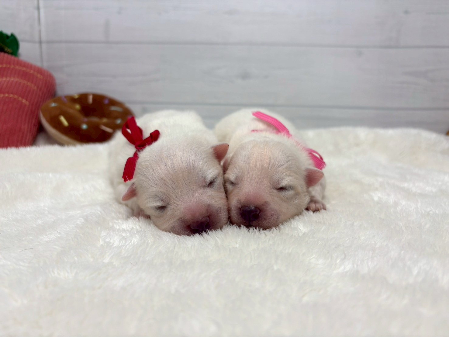 赤ちゃん写真1-3