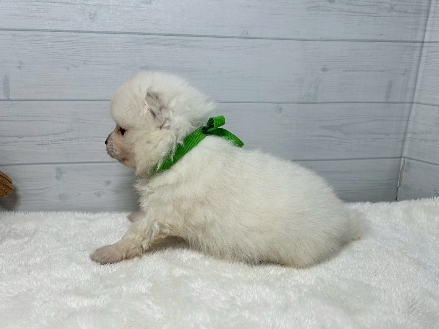 赤ちゃん写真2-2