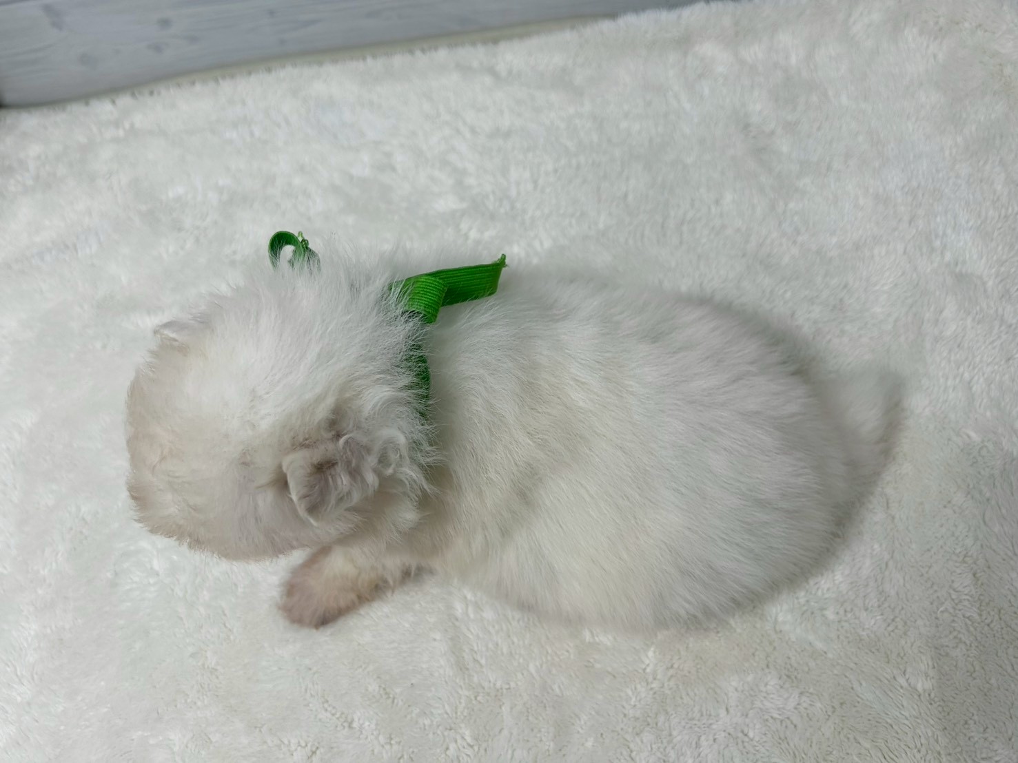 赤ちゃん写真2-3