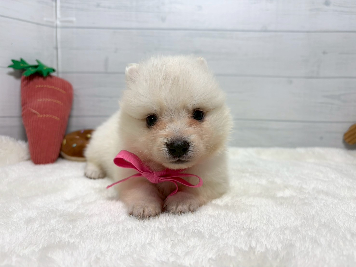 赤ちゃん写真2-1