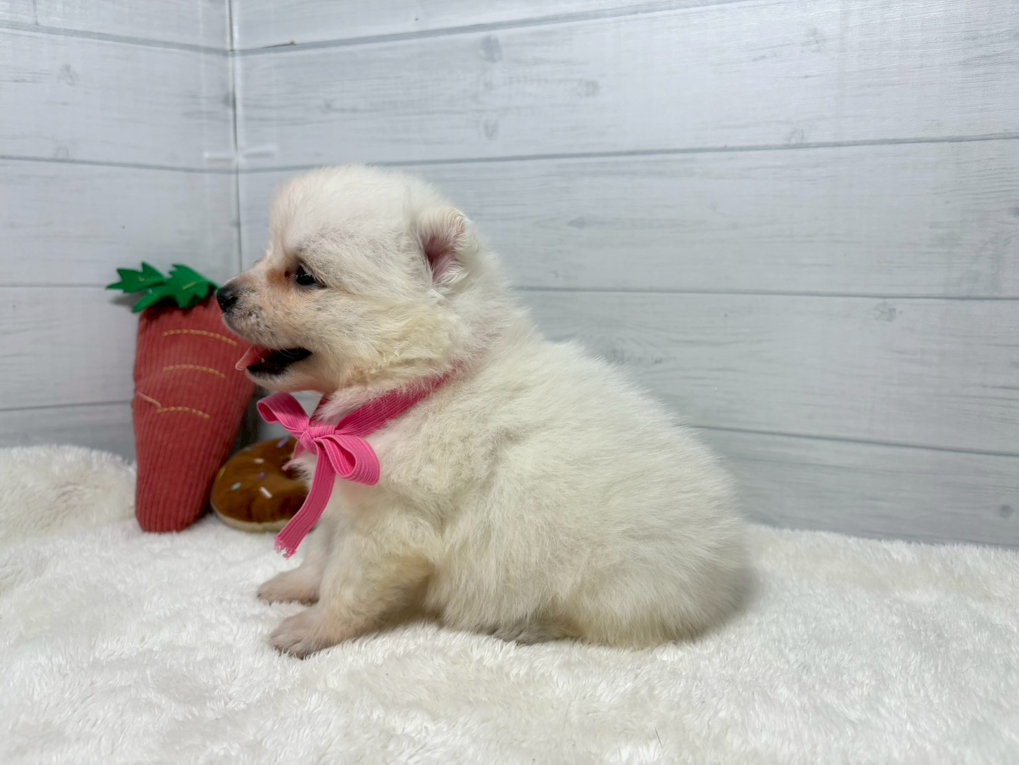 赤ちゃん写真2-2