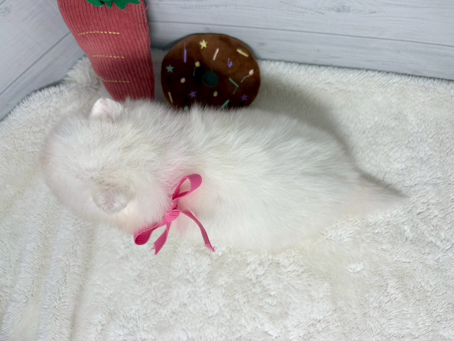 赤ちゃん写真2-3