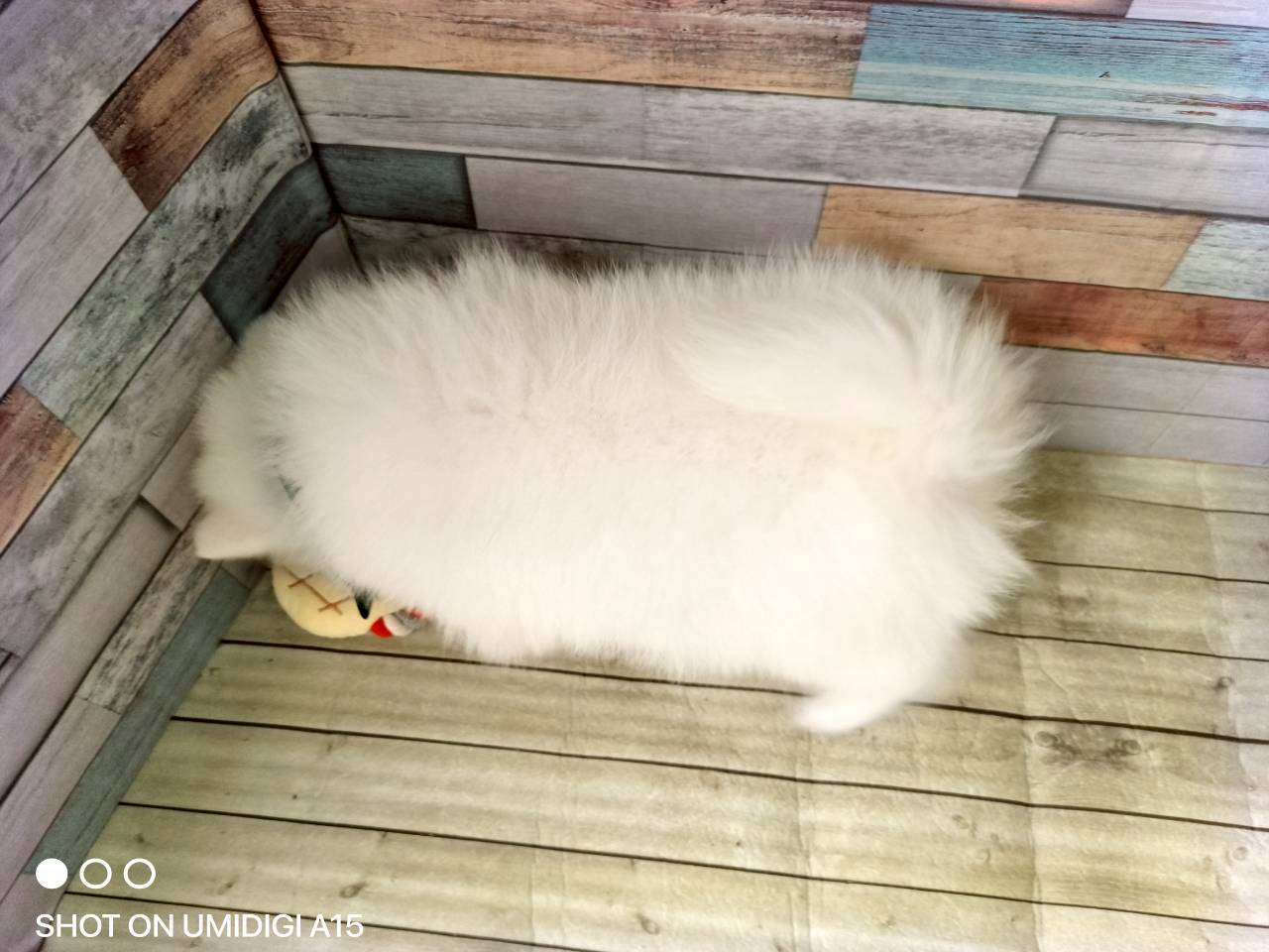 赤ちゃん写真3-3