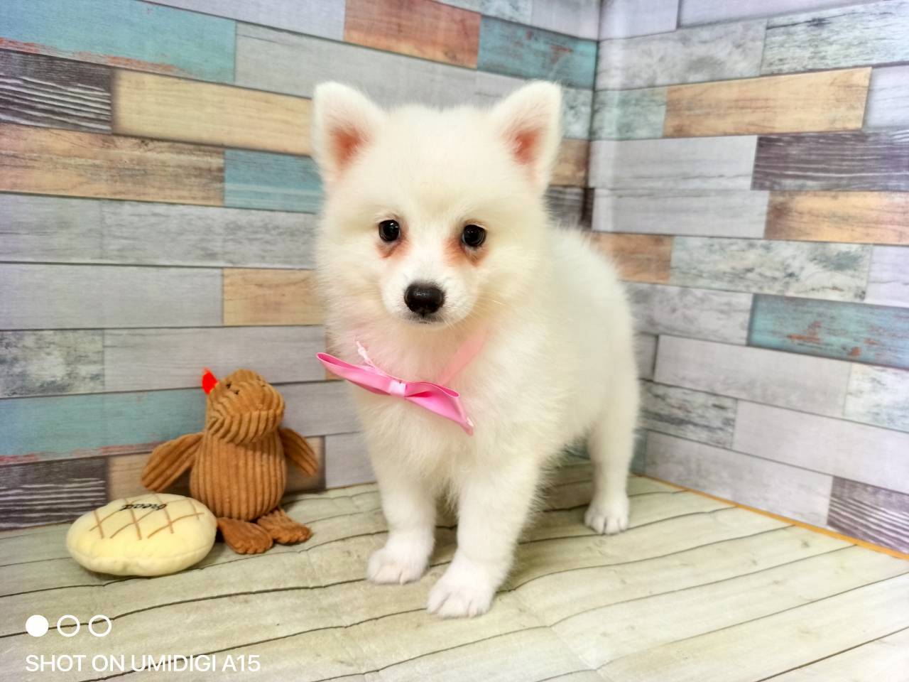 赤ちゃん写真3-1