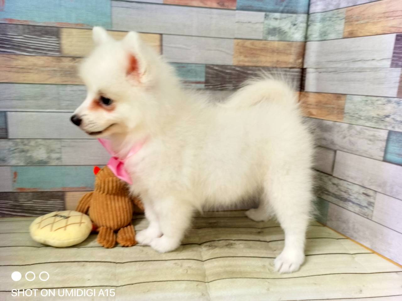 赤ちゃん写真3-2