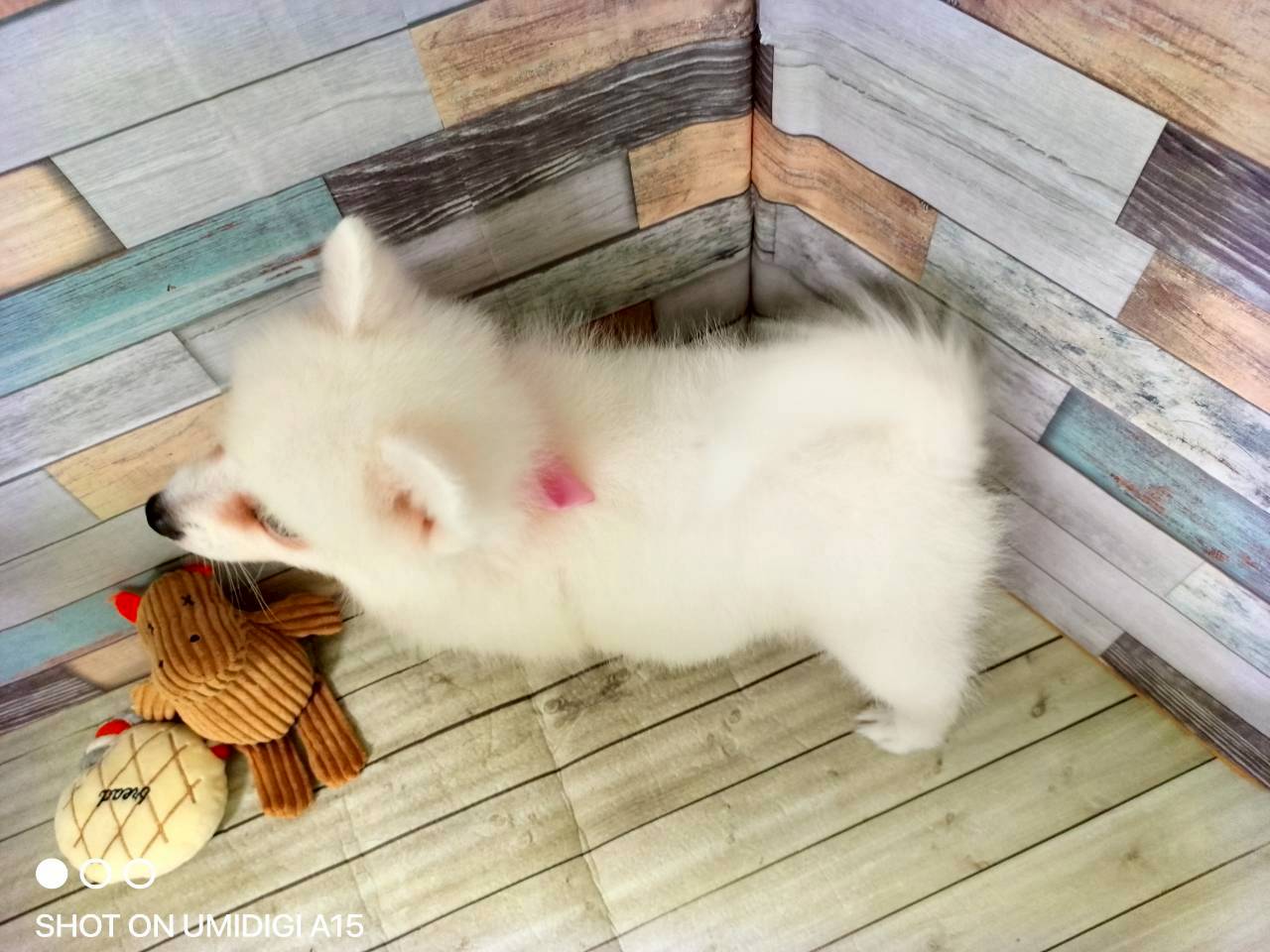 赤ちゃん写真3-3