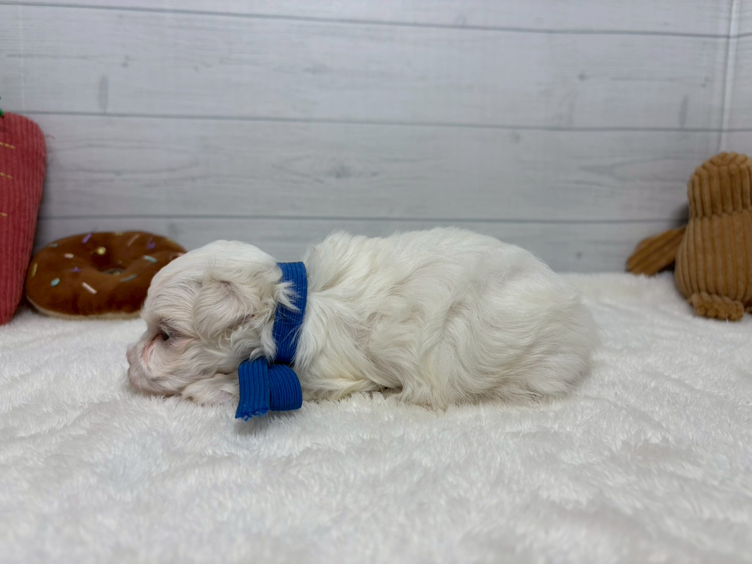 赤ちゃん写真2-2