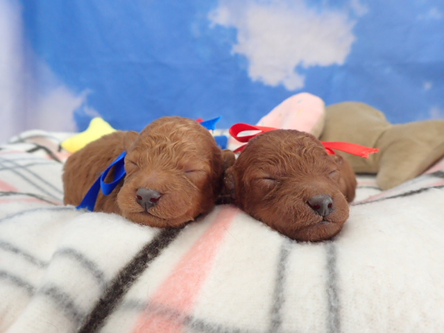 赤ちゃん写真1-3