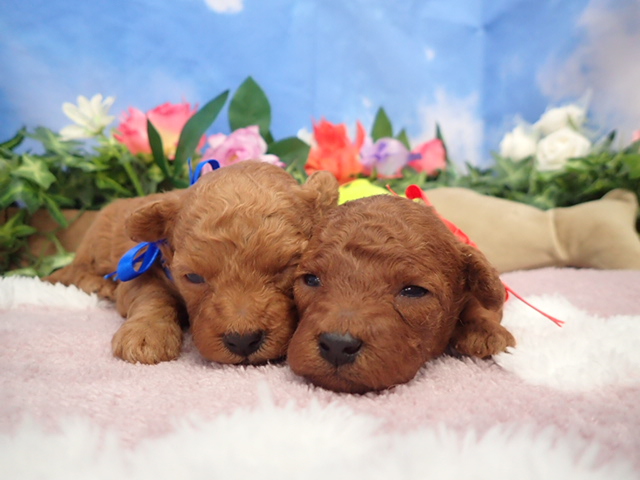 赤ちゃん写真2-3