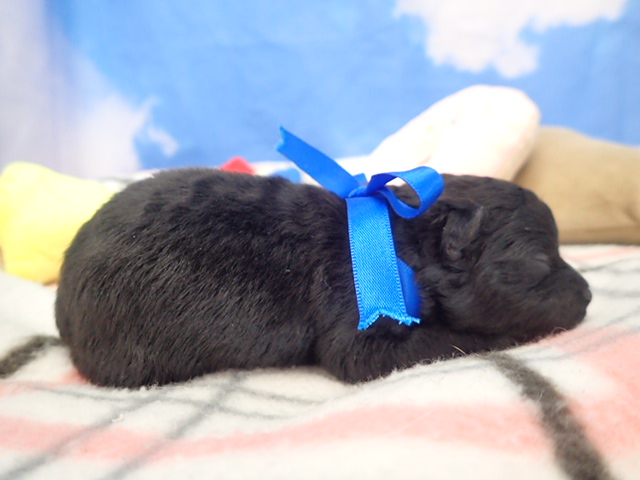 赤ちゃん写真1-2