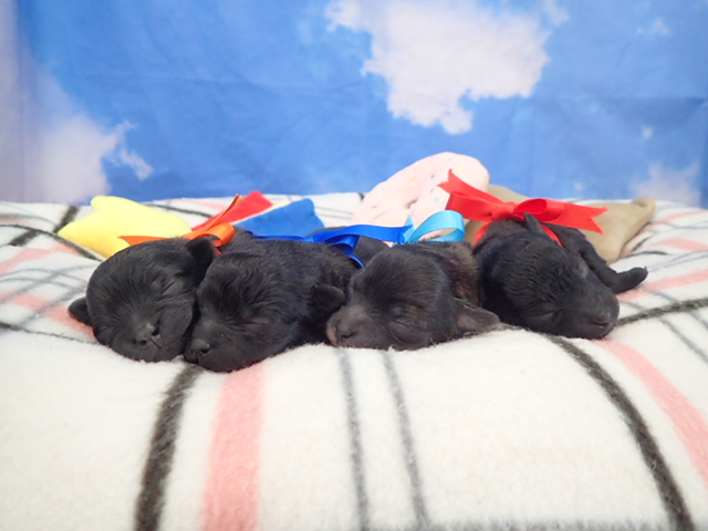 赤ちゃん写真1-3