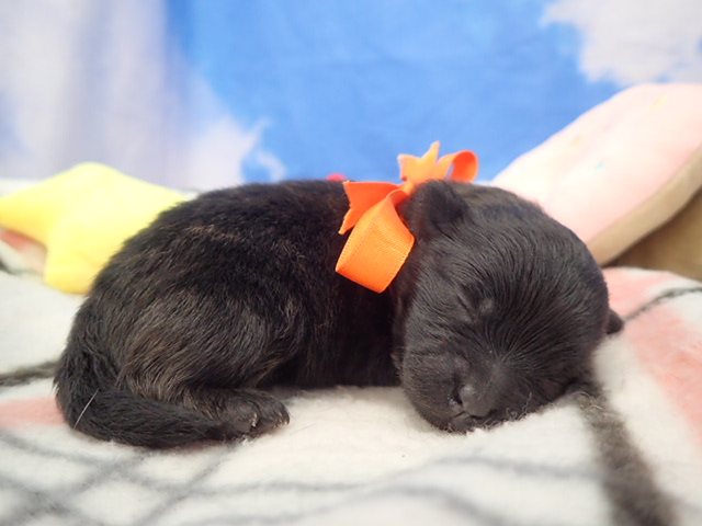 赤ちゃん写真1-2