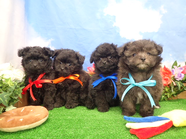 赤ちゃん写真3-3