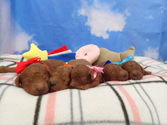赤ちゃん写真1-3