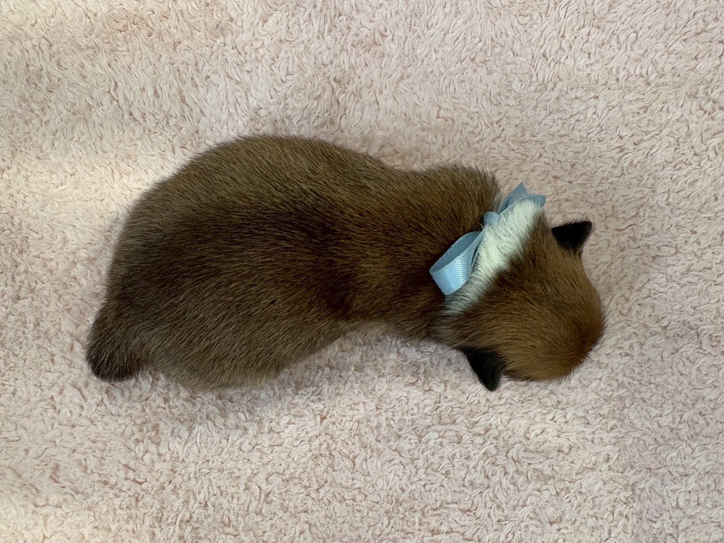 赤ちゃん写真1-3