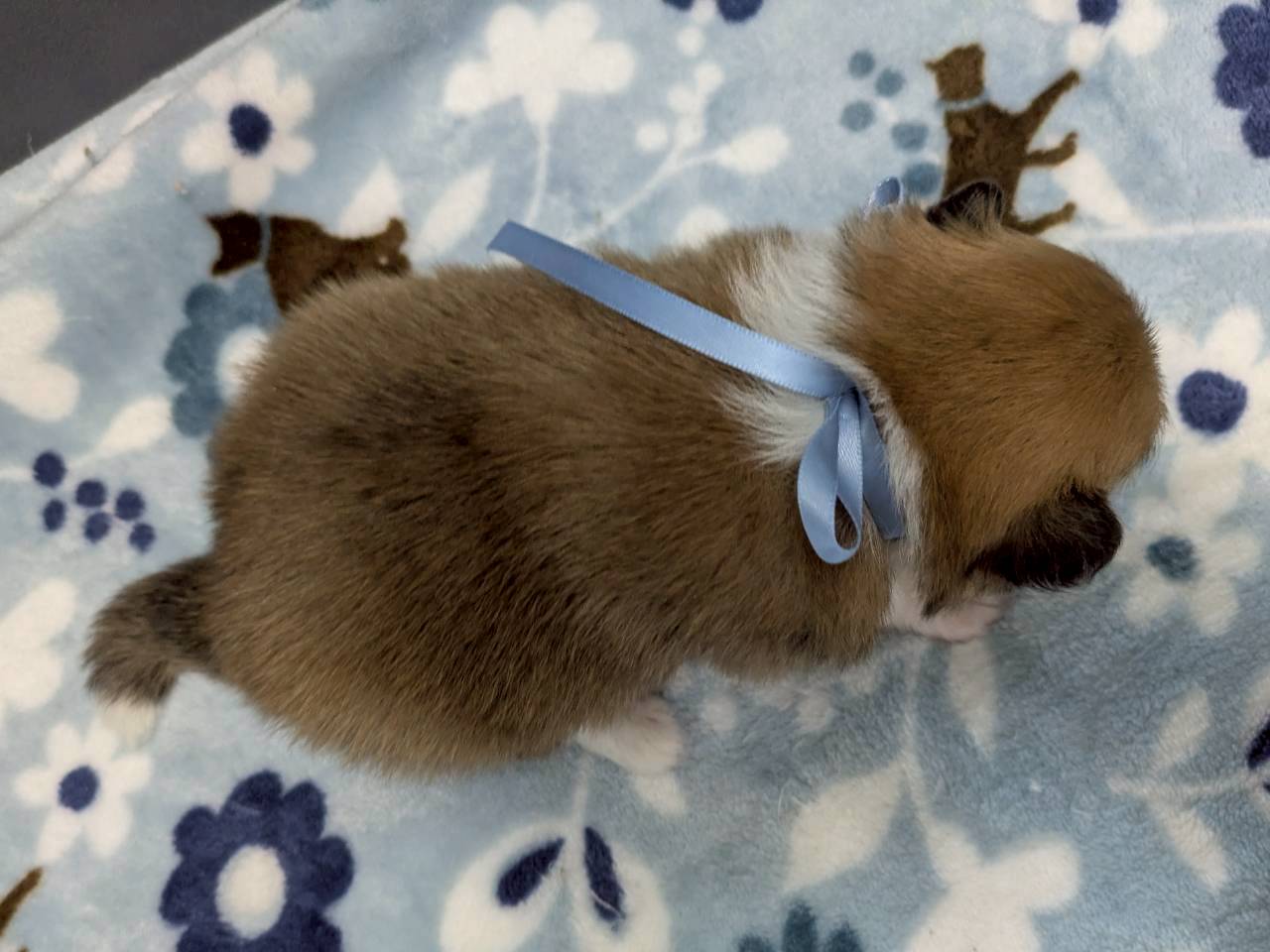 赤ちゃん写真2-3