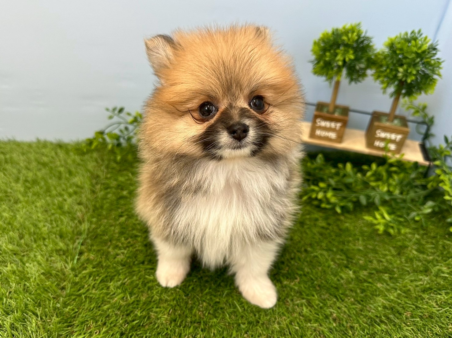 赤ちゃん写真3-1