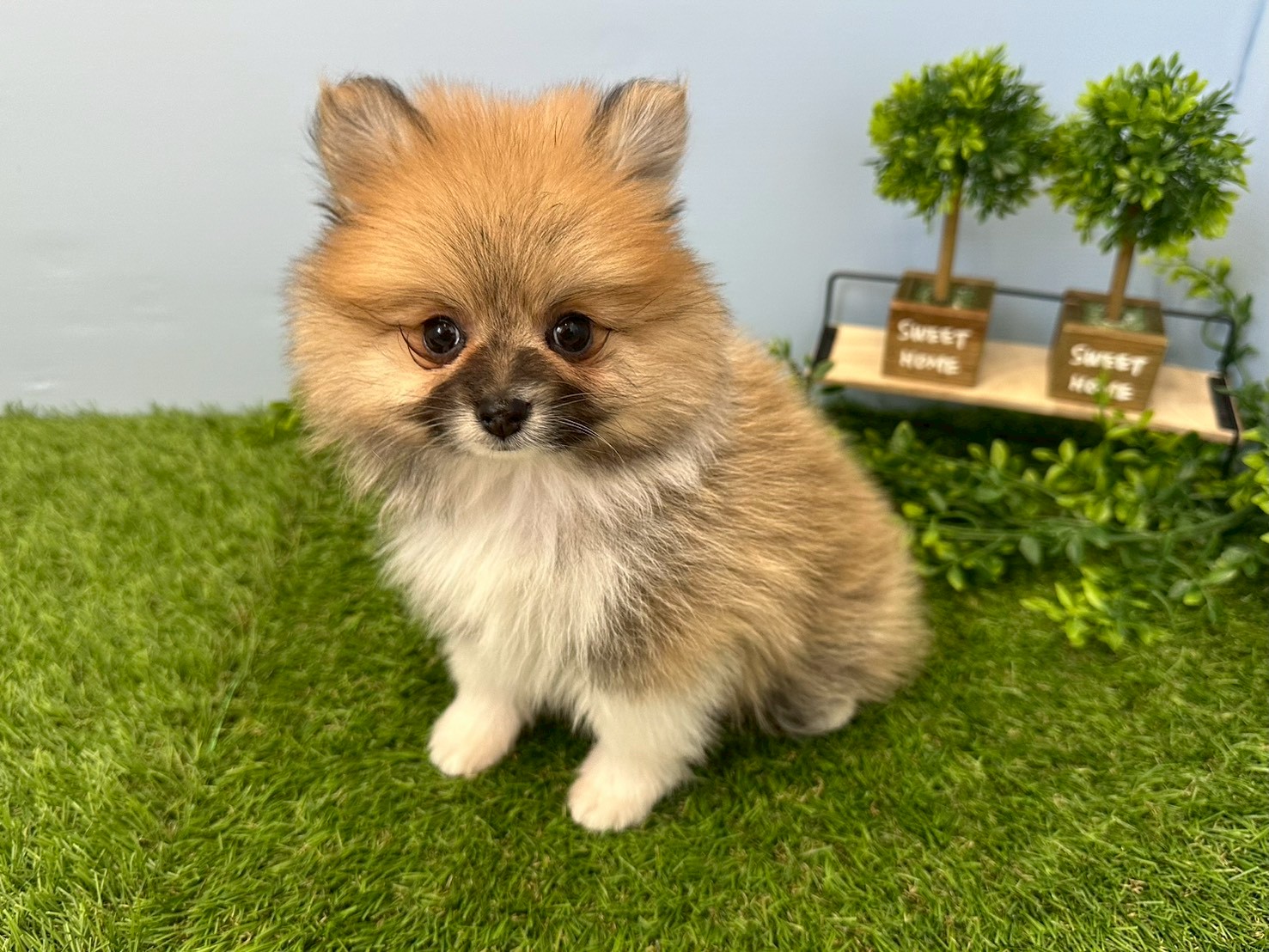赤ちゃん写真3-2