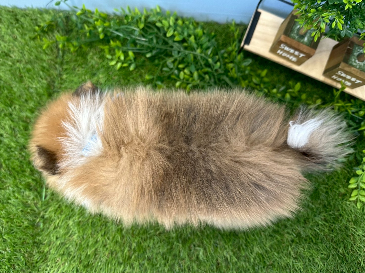 赤ちゃん写真3-3