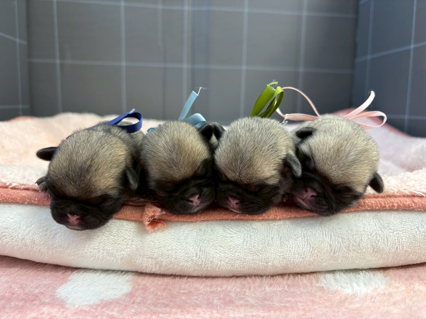 赤ちゃん写真1-3