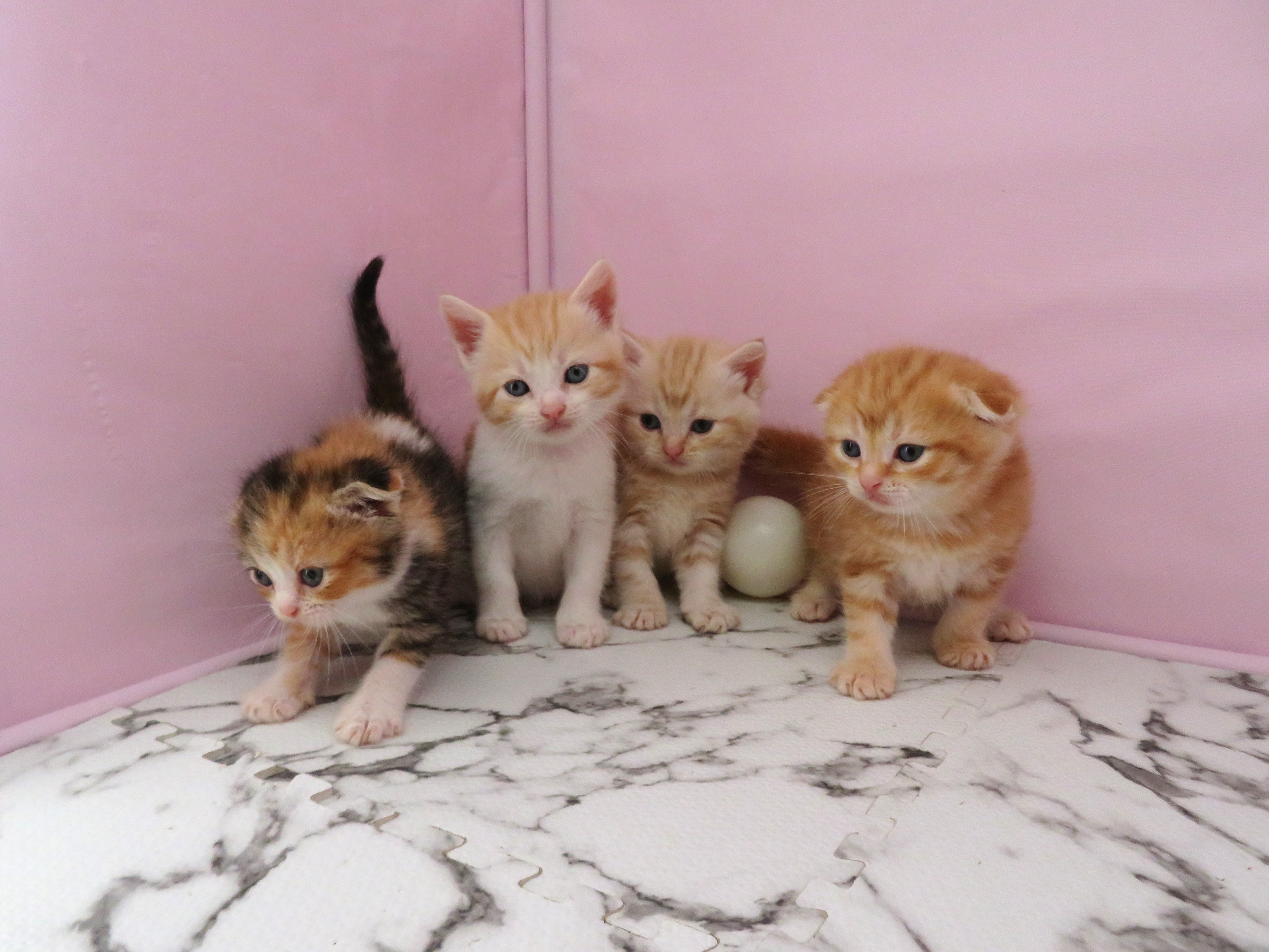 赤ちゃん写真2-3