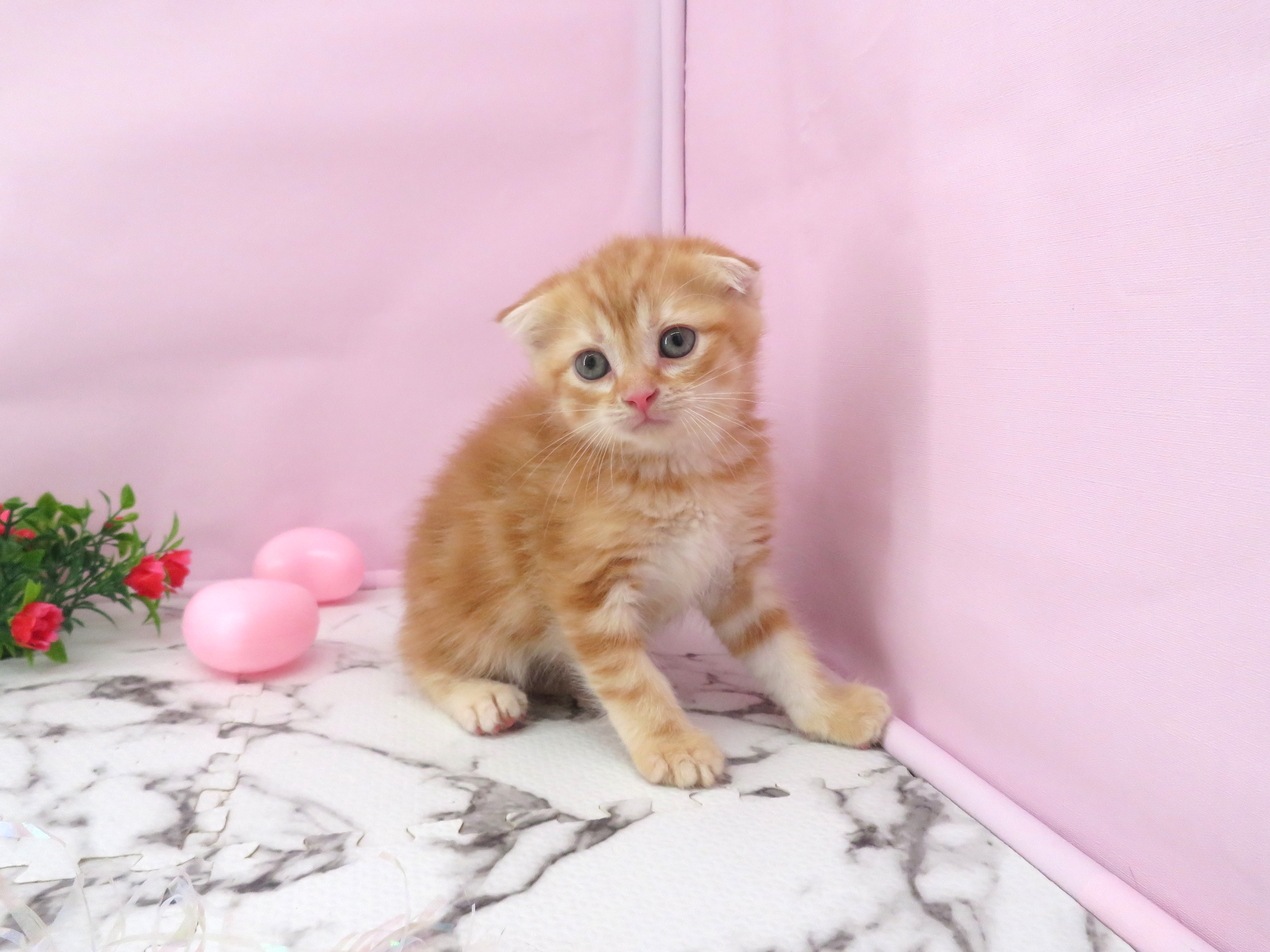 赤ちゃん写真3-1