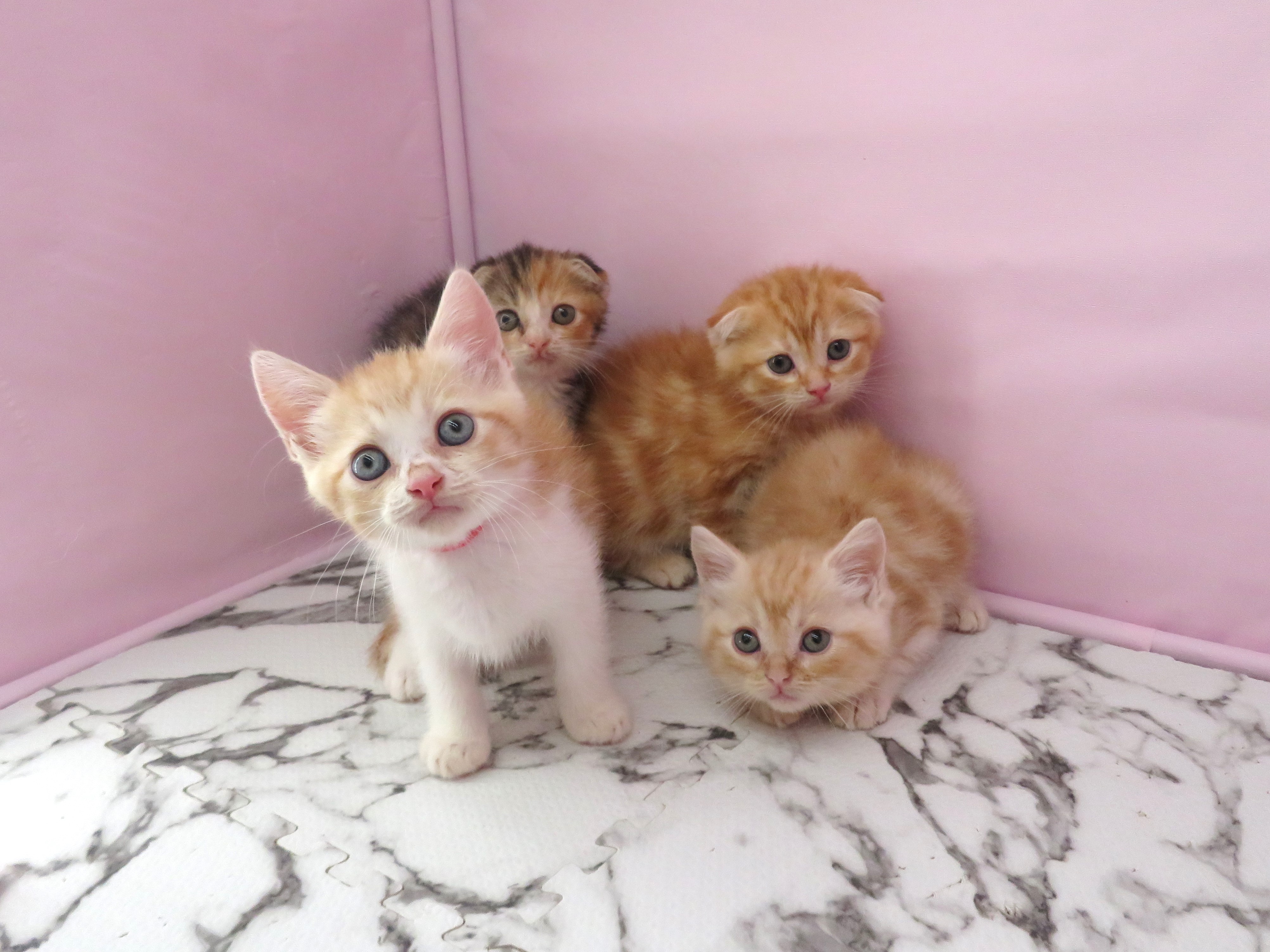 赤ちゃん写真3-3