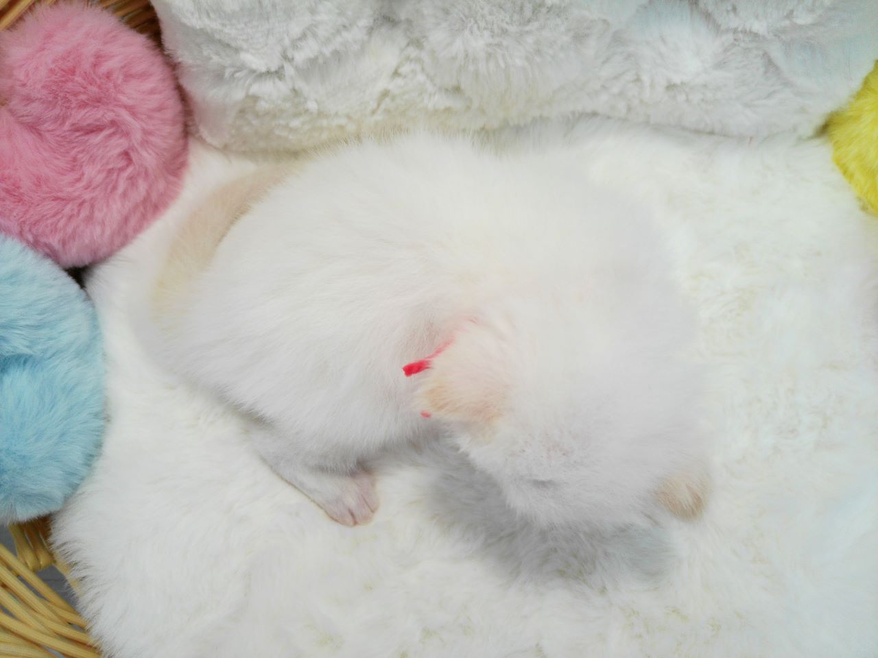 赤ちゃん写真1-3