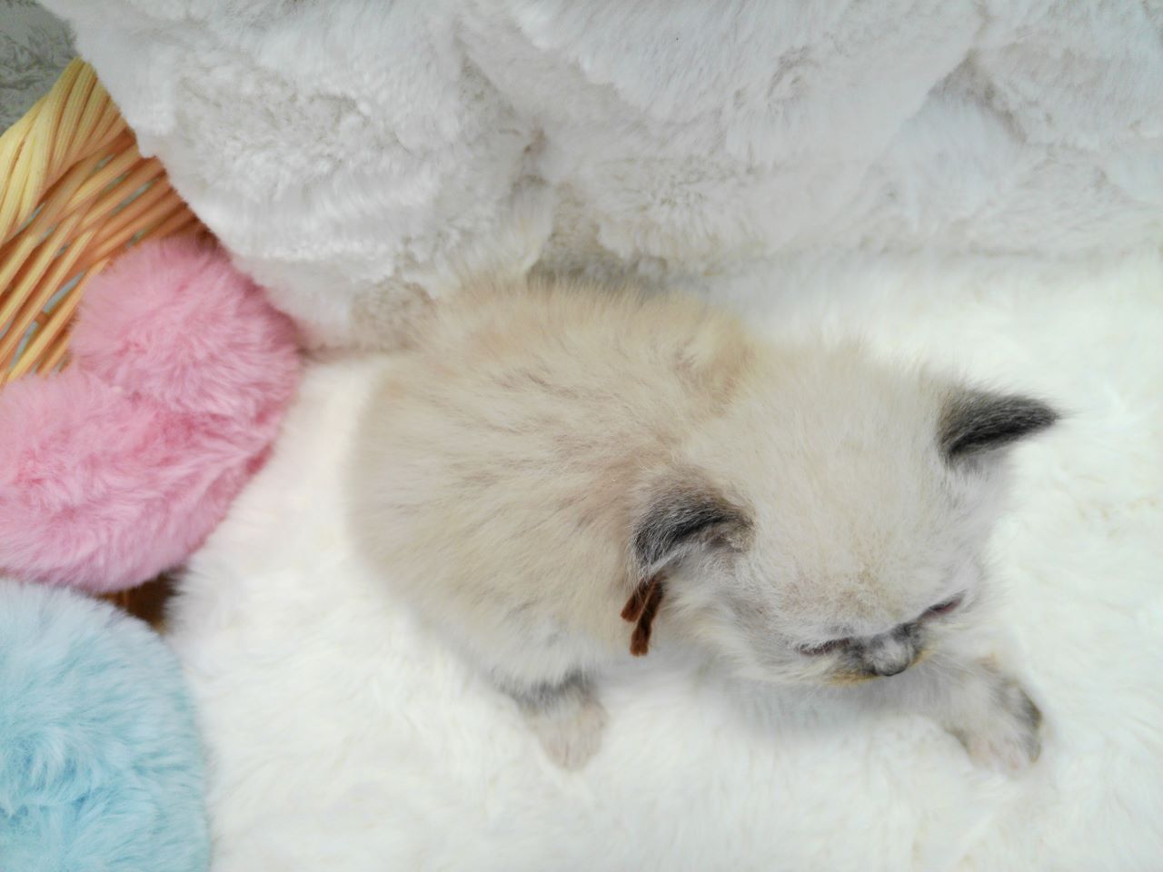 赤ちゃん写真1-3