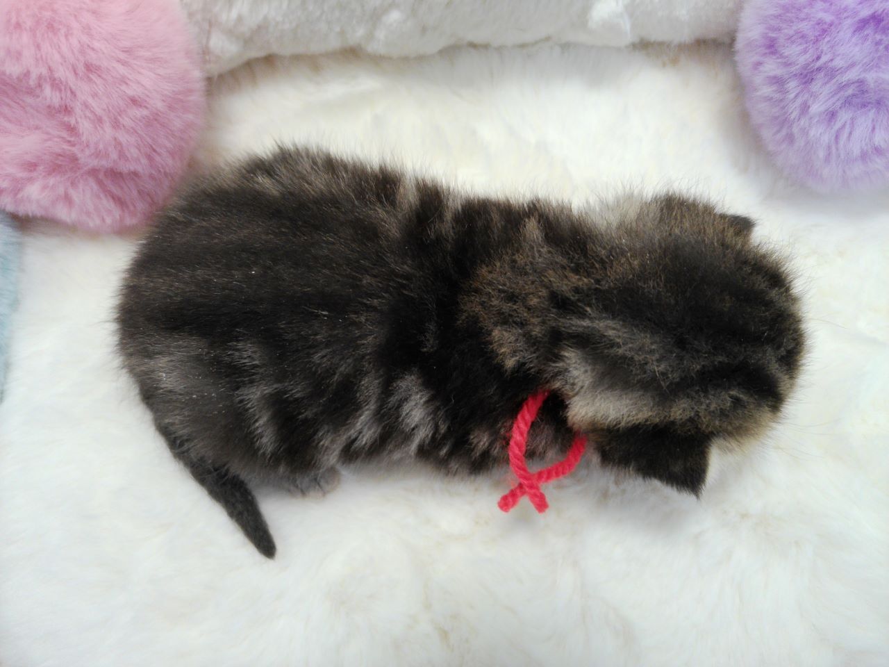 赤ちゃん写真1-3