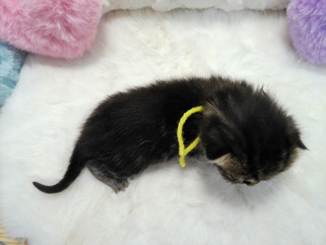 赤ちゃん写真1-3