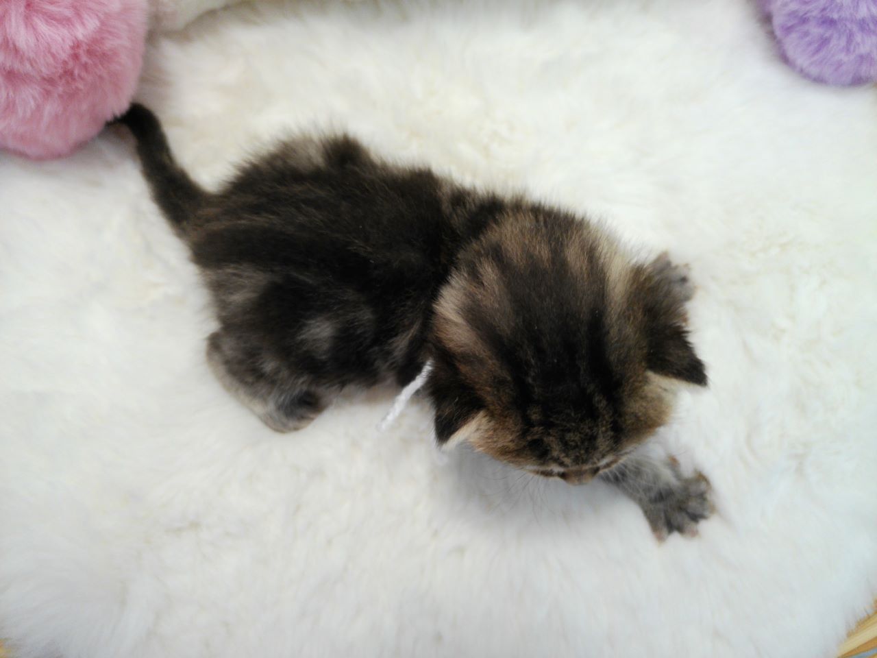 赤ちゃん写真1-3