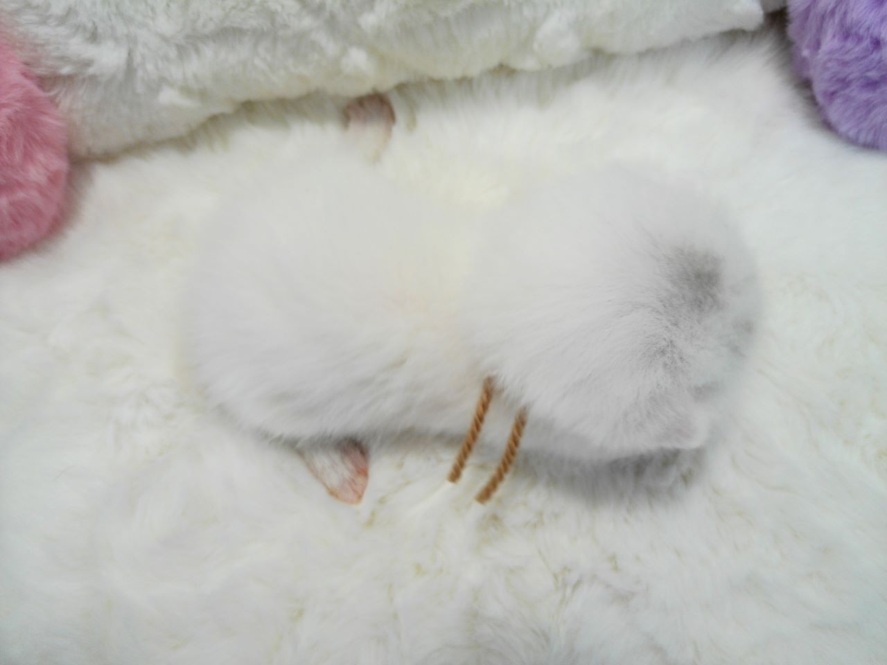 赤ちゃん写真1-3