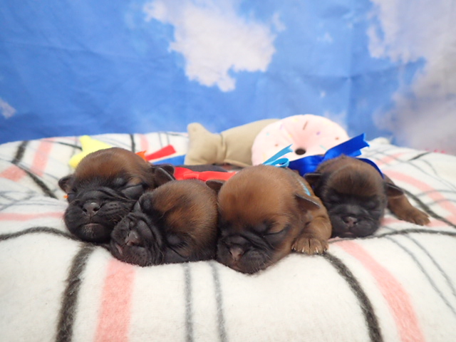 赤ちゃん写真1-3